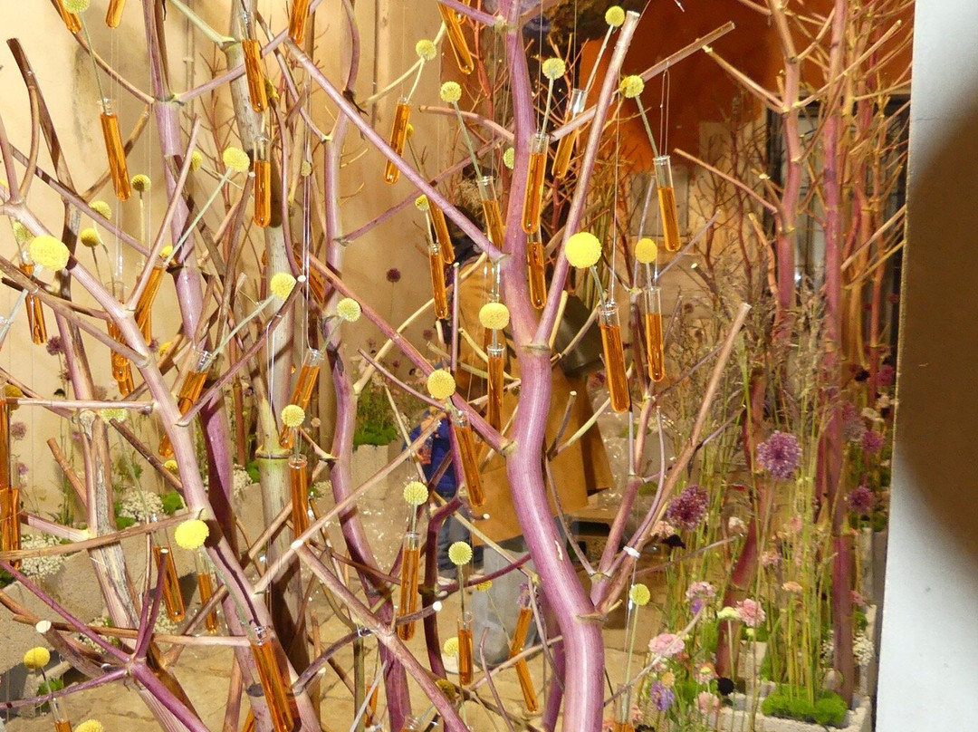 Leverano In Fiore-Leverano必去景点