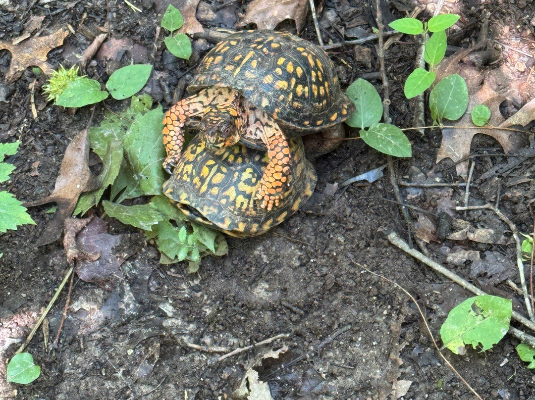 Colonel Francis Beatty Park