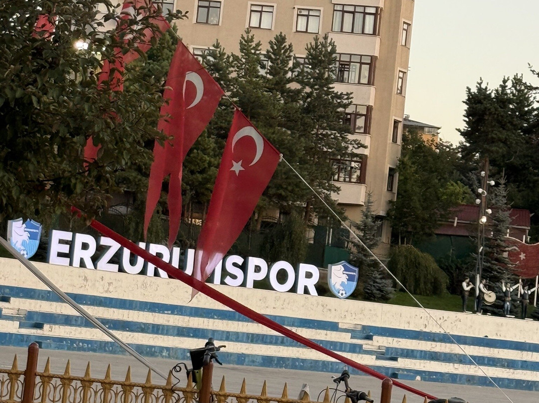 Hilton Garden Inn Erzurum主图