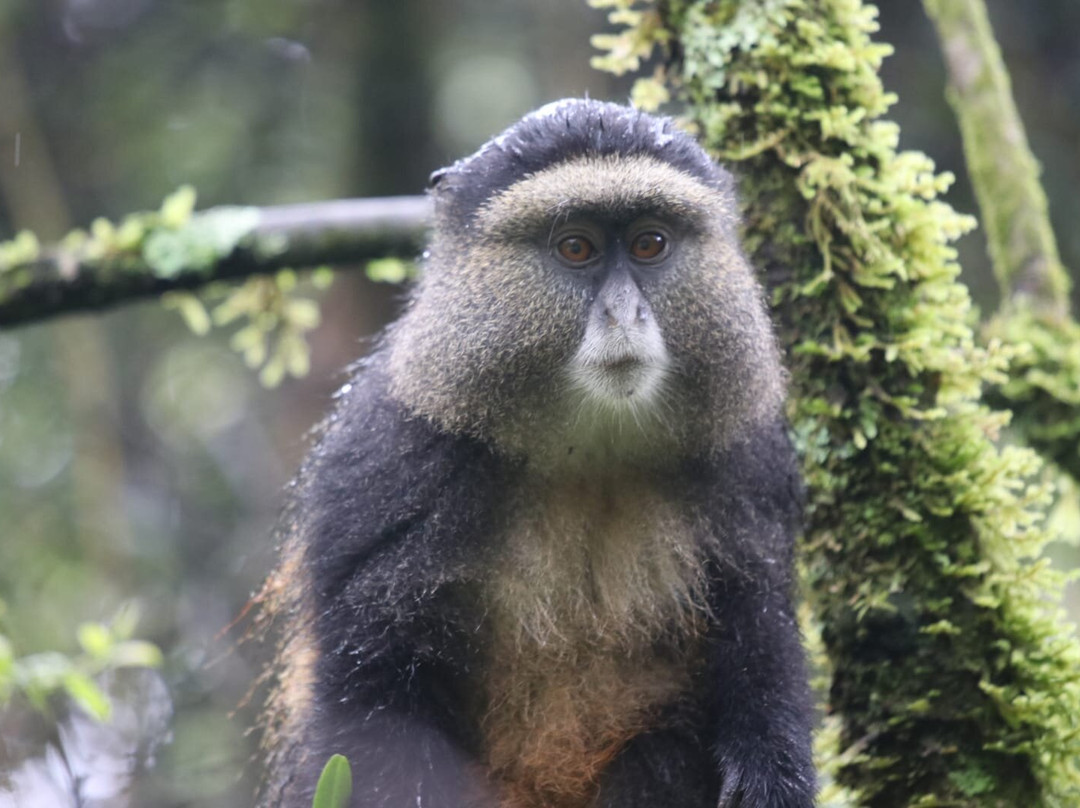 My Trip 2 Africa-Mbarara必去景点