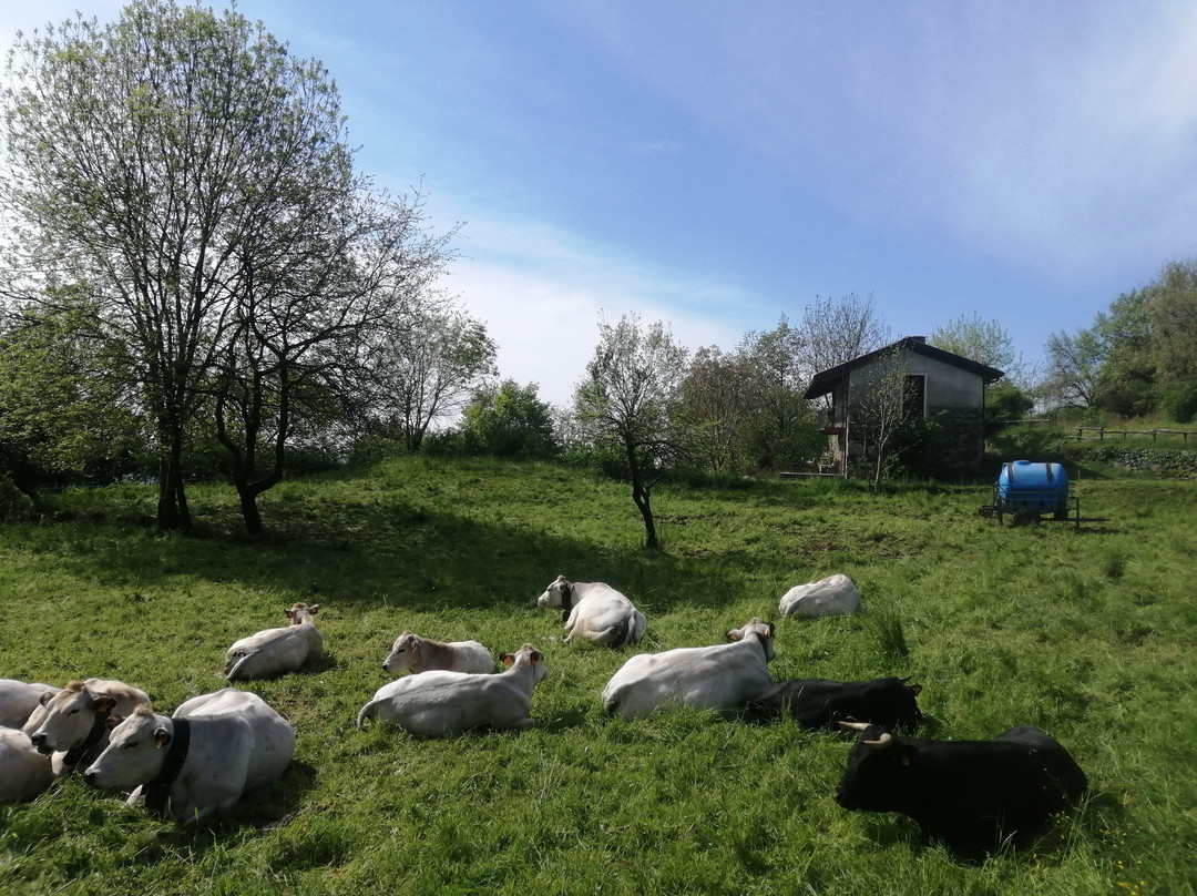 Ansema Ristoro Bioculturale