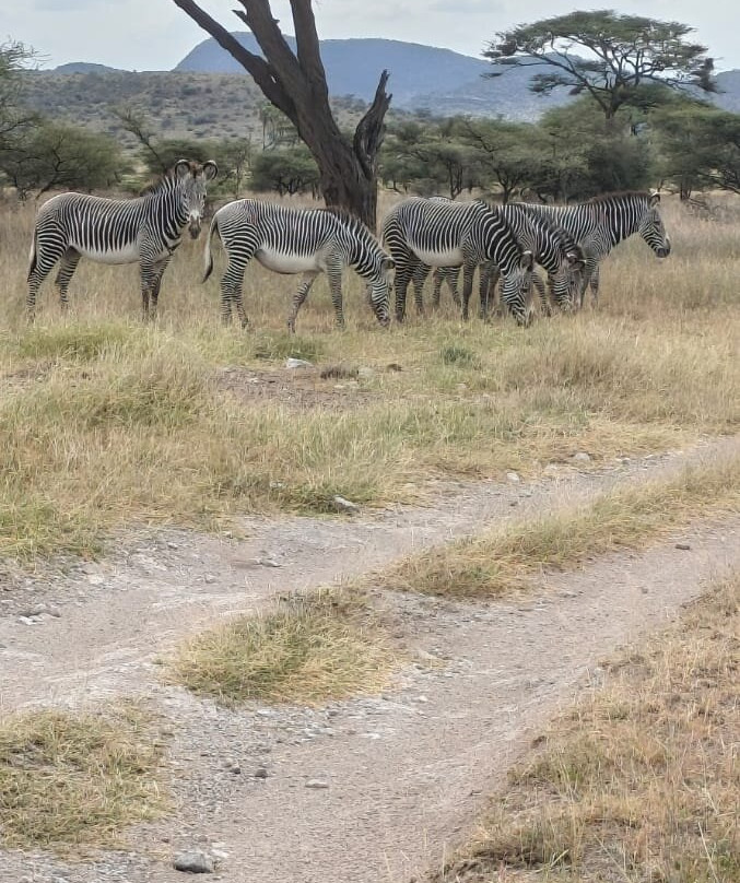 Buffalo Springs National Reserve-Buffalo Springs Game Reserve必去景点