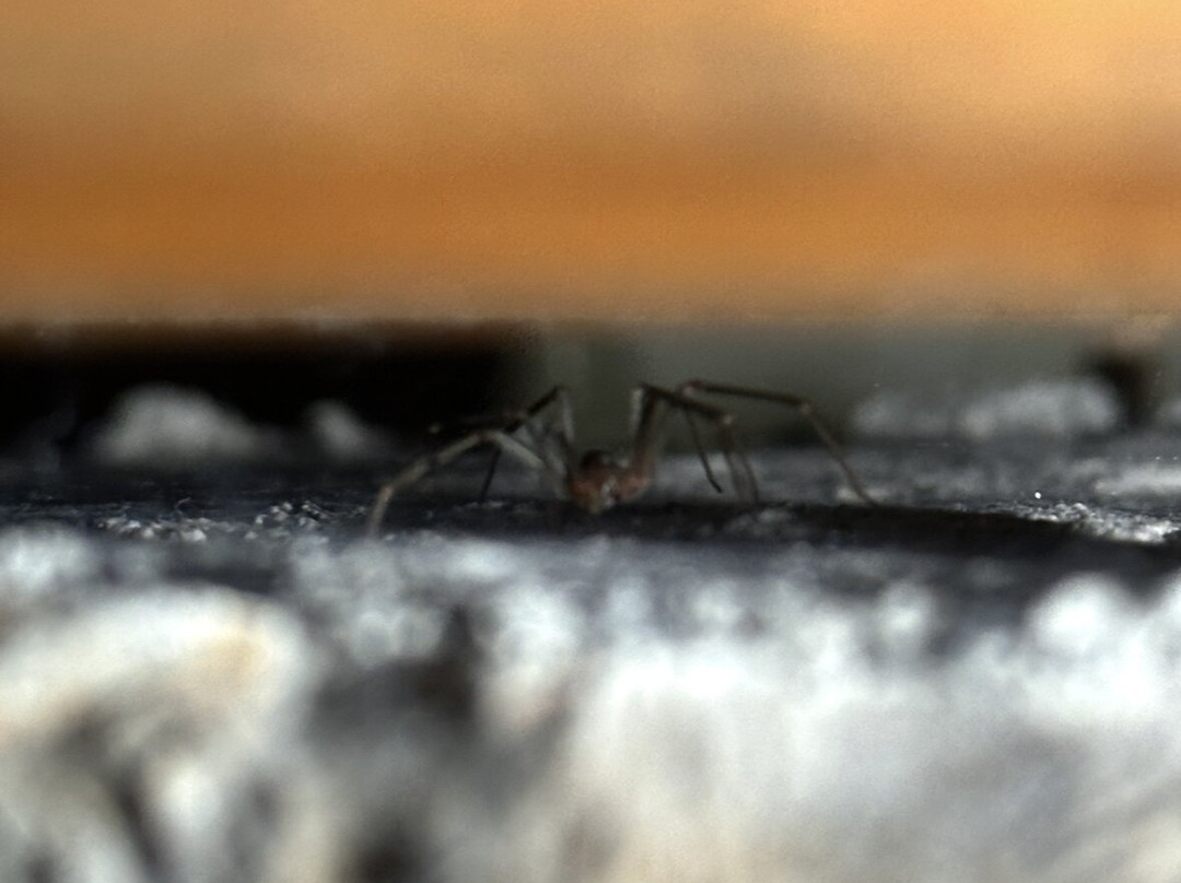 Ataviros Hotel主图