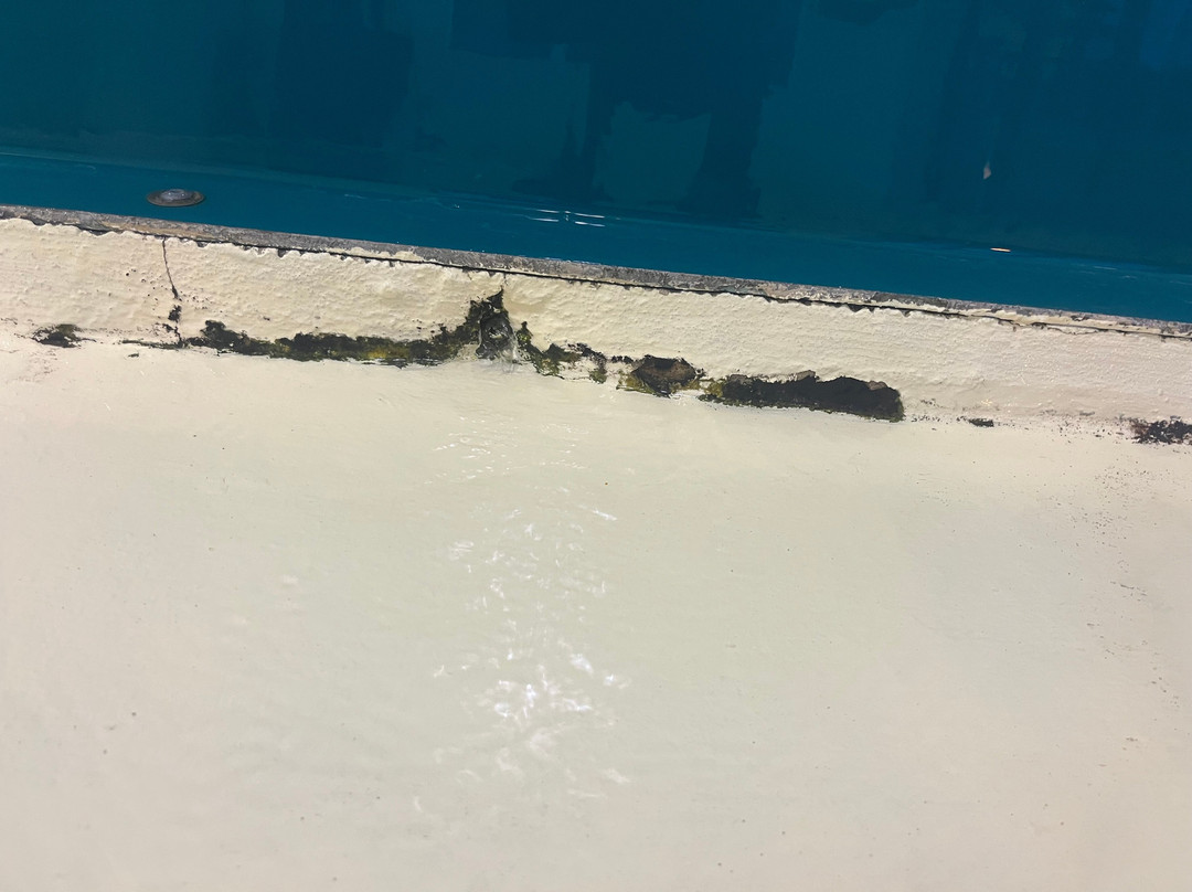 Ramada Limited Merritt主图