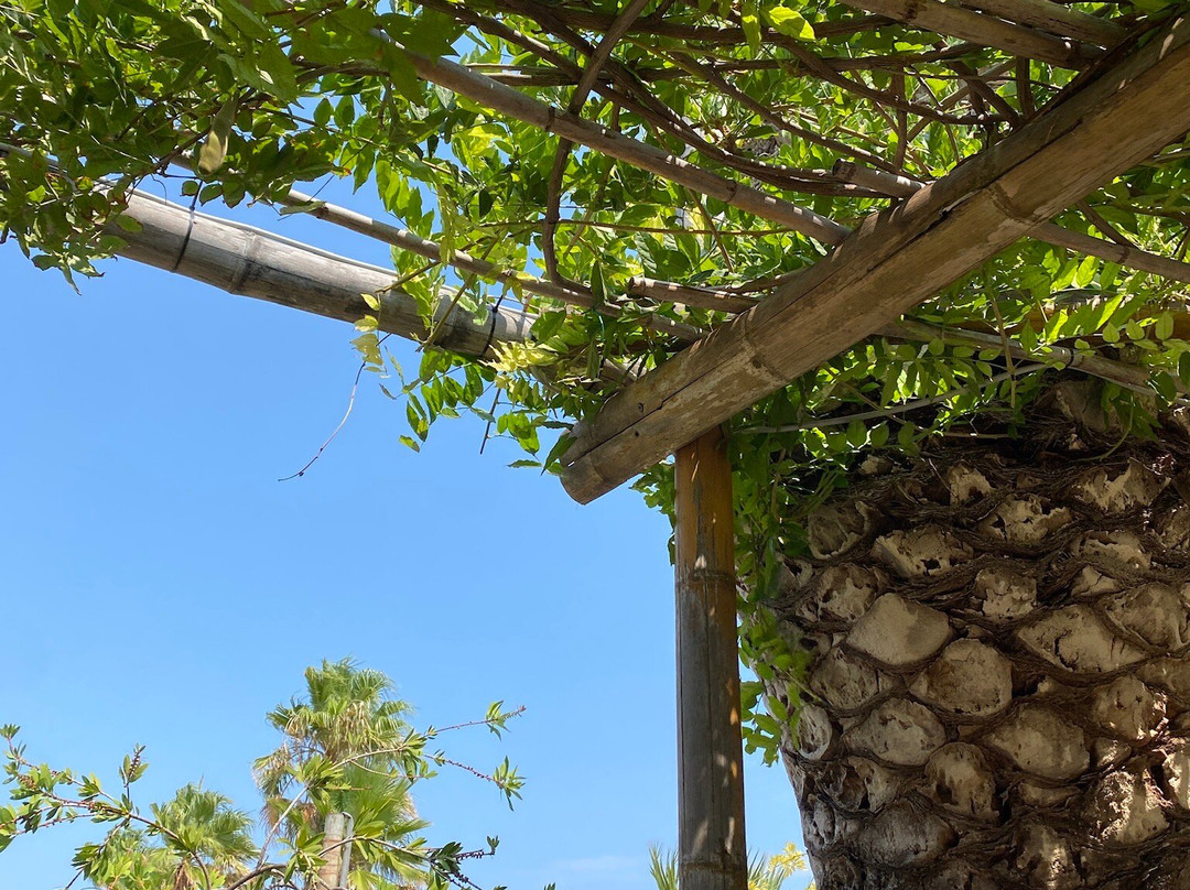 Oasiclub Hotel主图