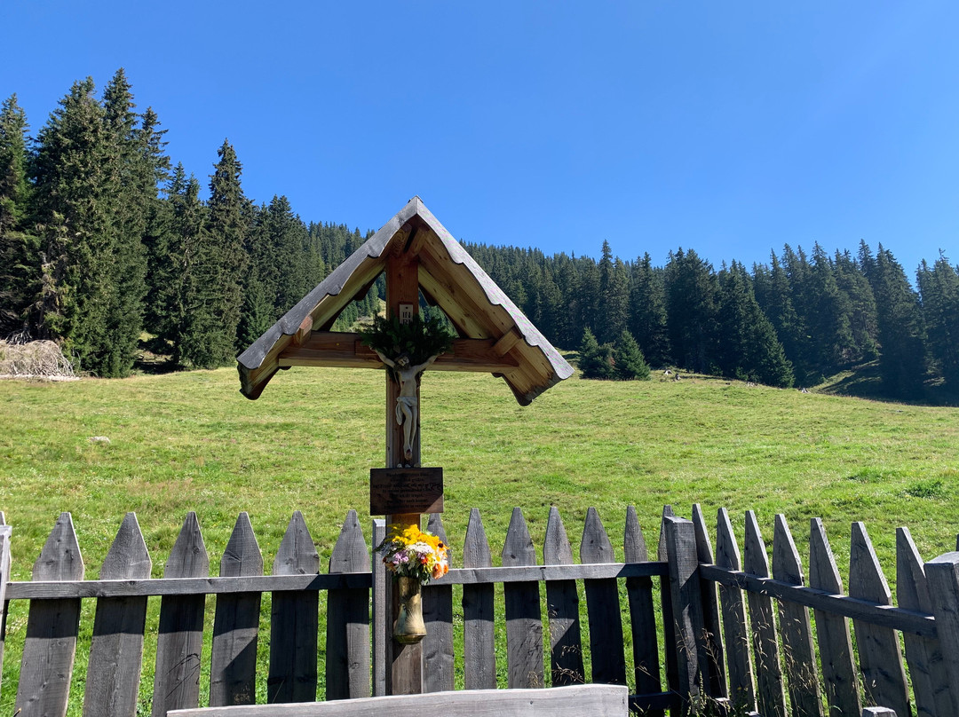 Escursione Estiva: Malga San Silvestro e Cappella di San Silvestro