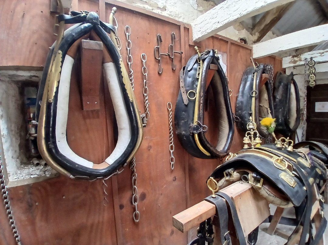 Dyfed Shire Horse Farm-Eglwyswrw必去景点