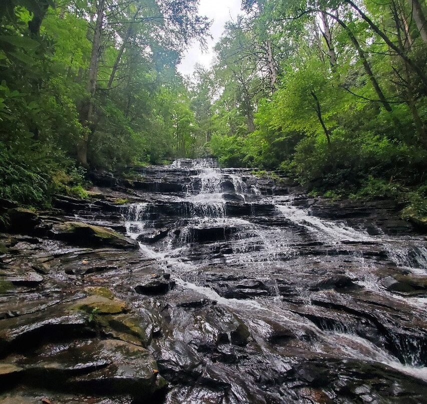 Minnehaha Falls-Lakemont必去景点
