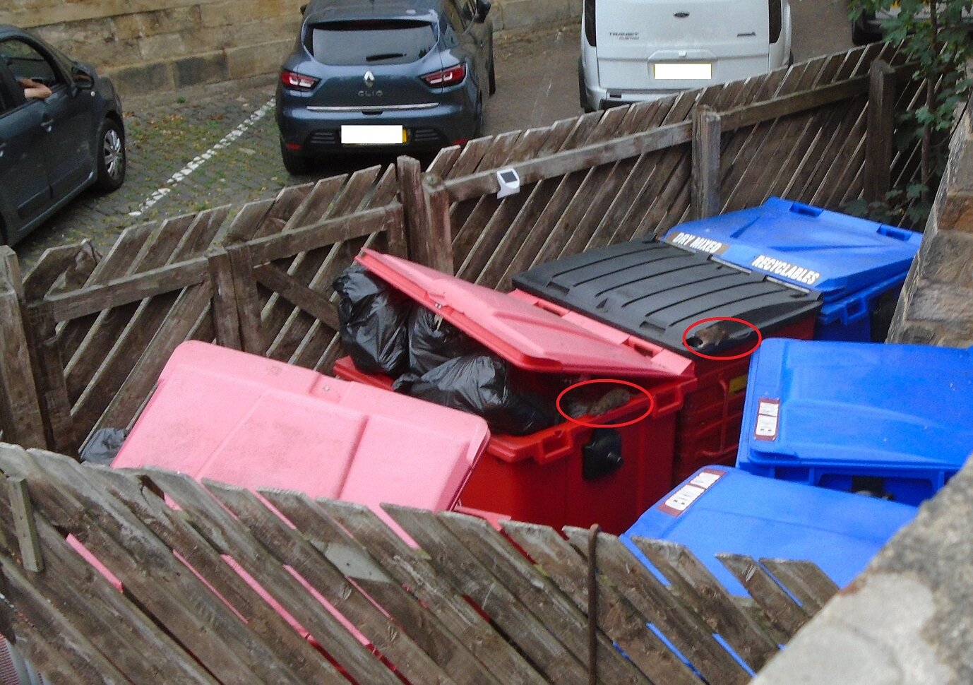 Travelodge Durham-浴室