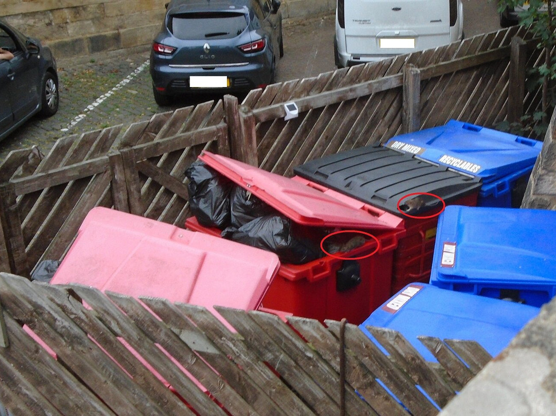 Travelodge Durham主图