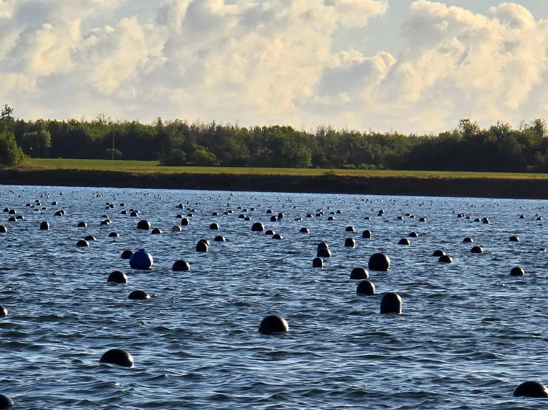 Tranquility Cove Adventures-Georgetown必去景点