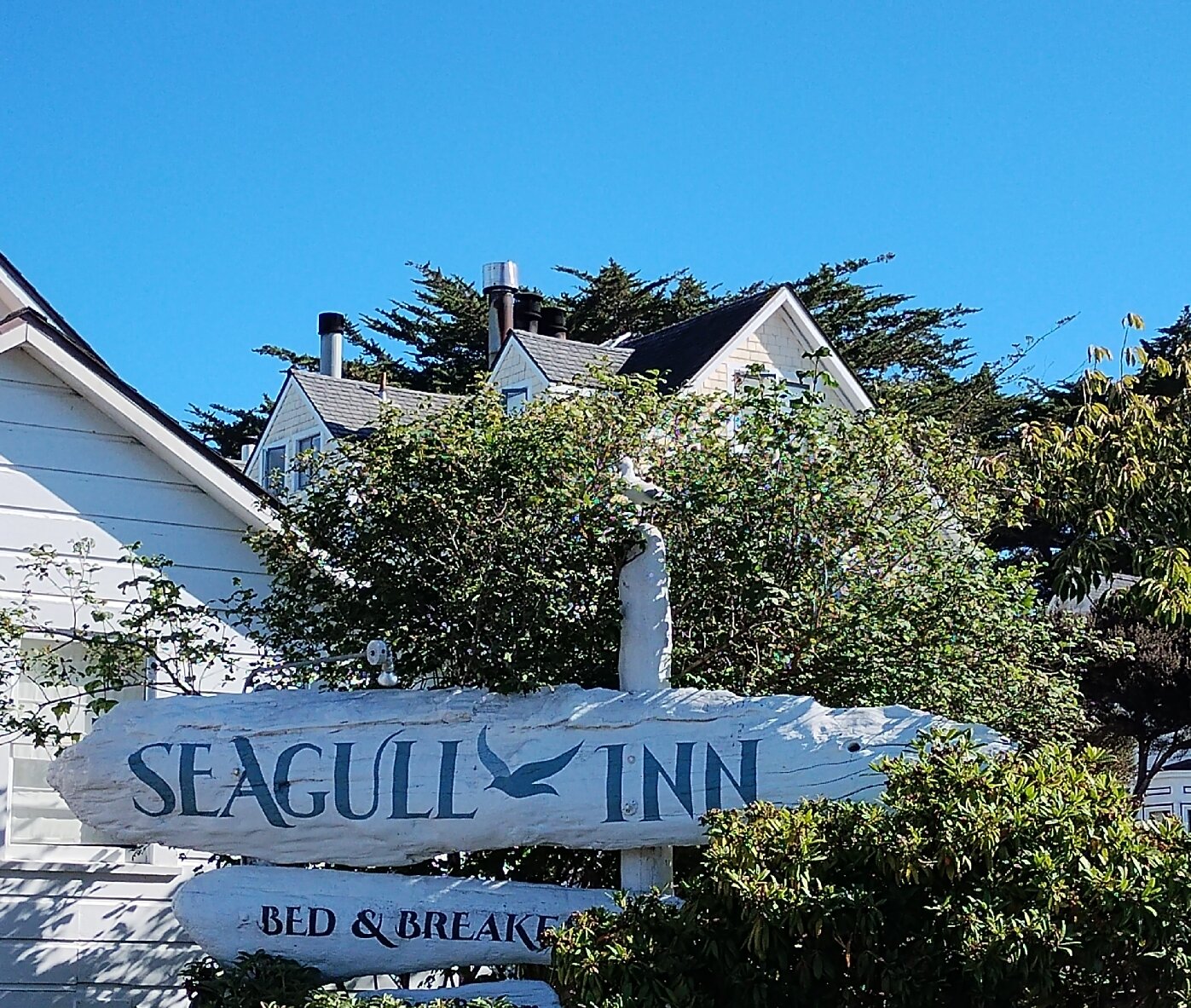 Seagull Inn Bed and Breakfast-官方