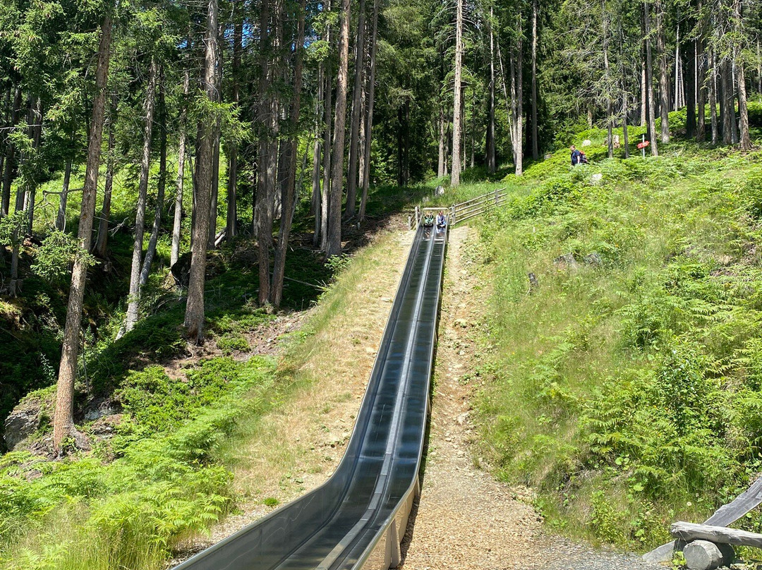 Rutschenweg Am Wildkogel-Neukirchen am Grossvenediger必去景点