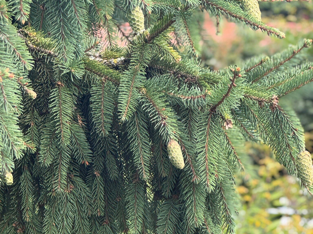 The Hidden Garden-芬洛必去景点