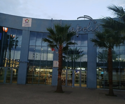 Patinoire Végapolis-蒙彼利埃必去景点