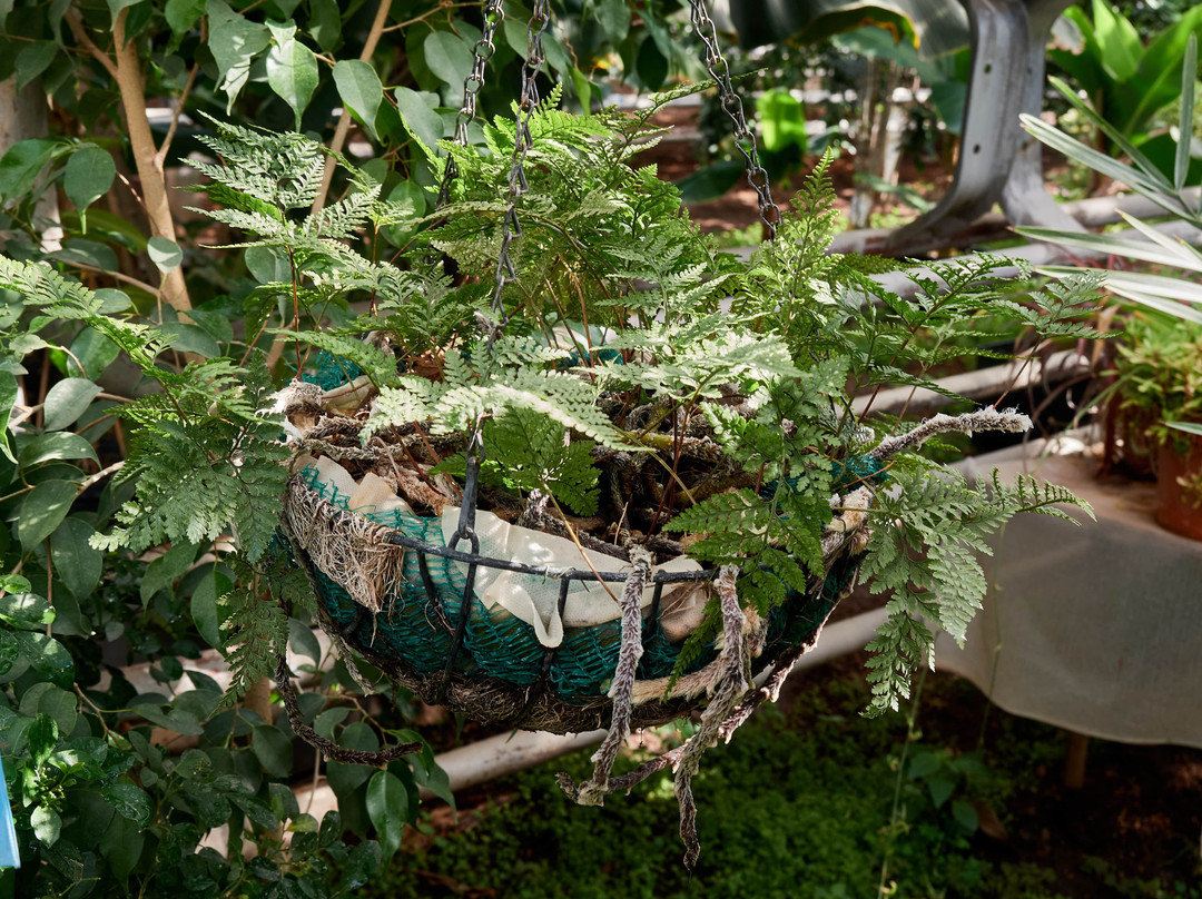 Lemonarium-乌法必去景点