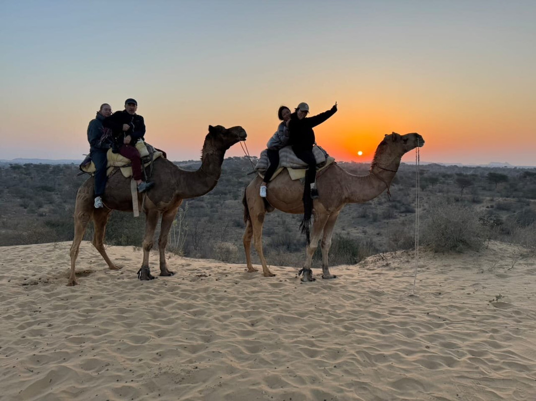 Osian Desert Safari & Overnight Camping