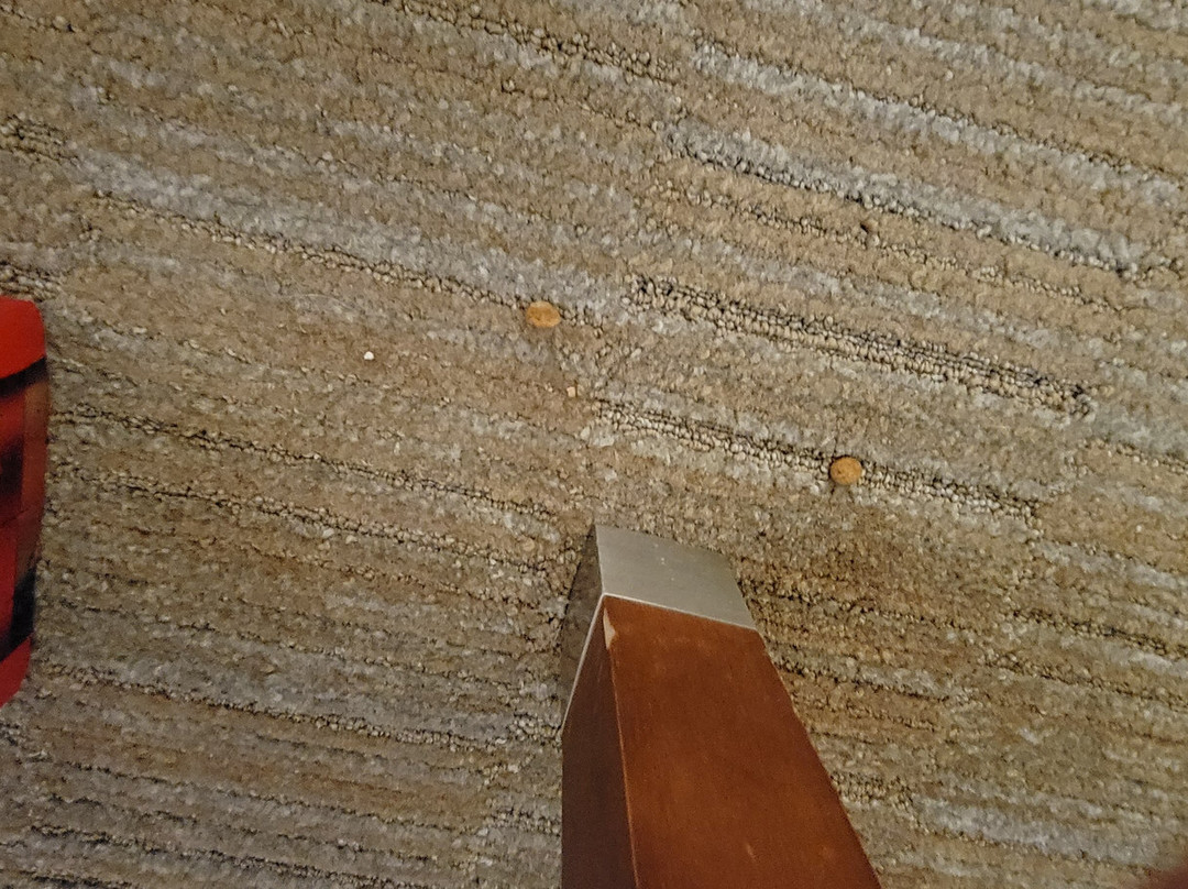 Best Western Staunton Inn主图