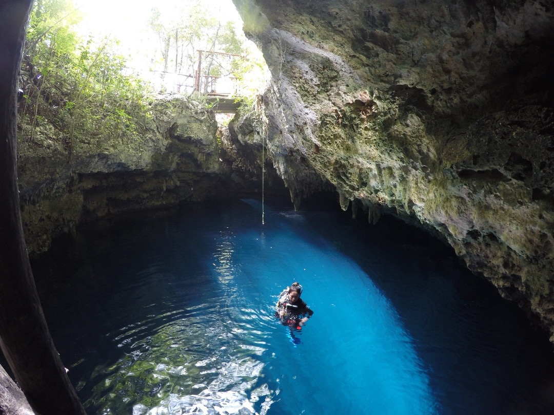 Happy Manta Cenote Diving-普拉亚德尔卡曼必去景点