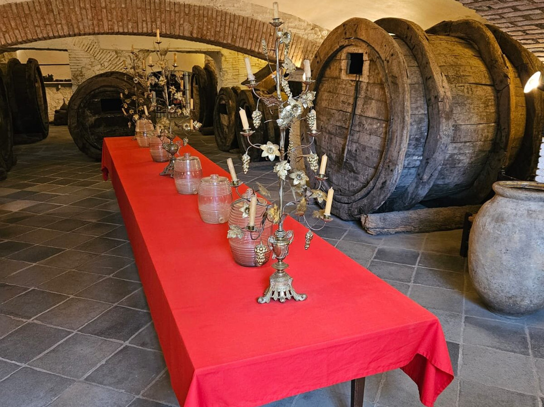 Museu del Joguet-菲格拉斯必去景点