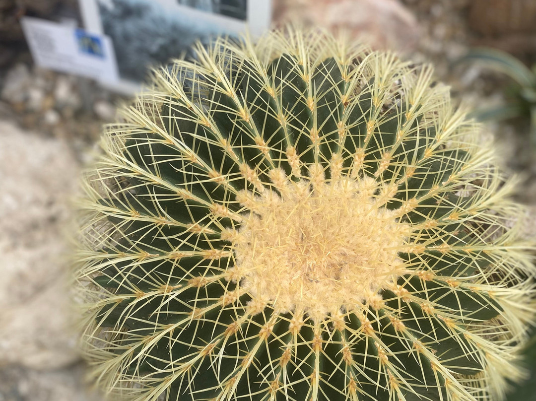Botanical Garden-科希策必去景点