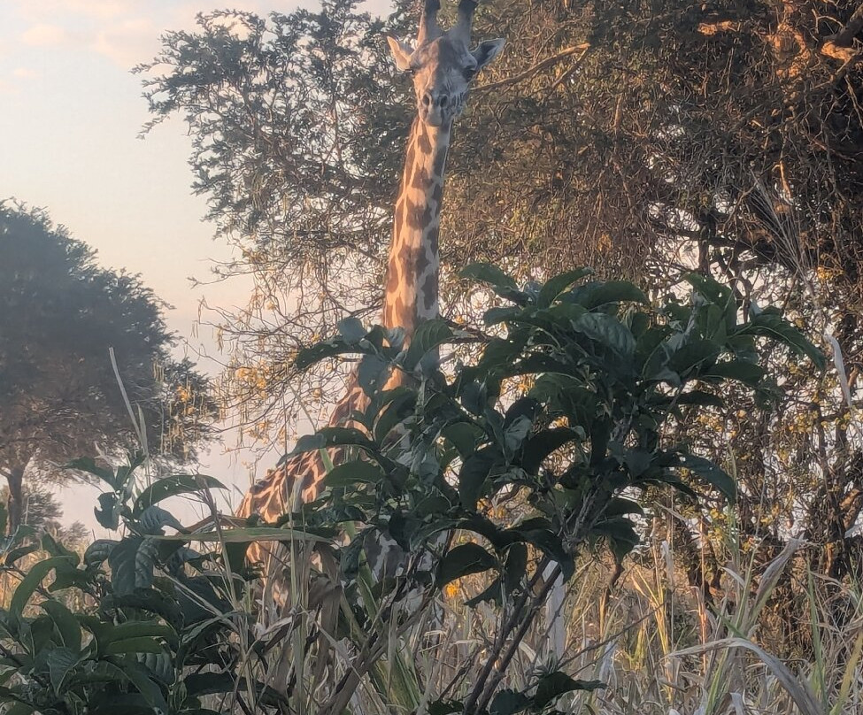 Kasaka Tours-Dar es Salaam必去景点