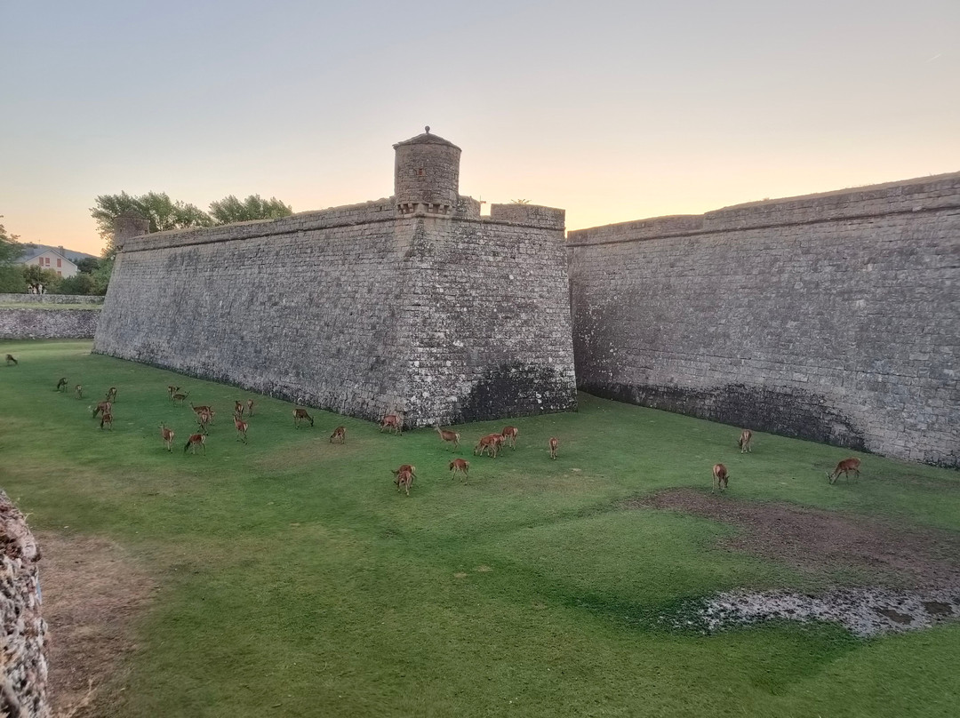 Ciudadela De Jaca-哈卡必去景点