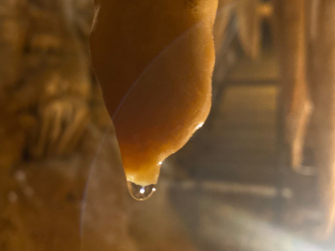 La Cueva de Valdeajo-Sabero必去景点