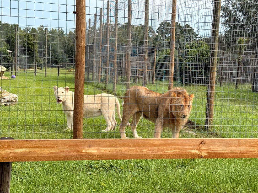 Carson Springs Wildlife Conservation Foundation-盖恩斯维尔必去景点