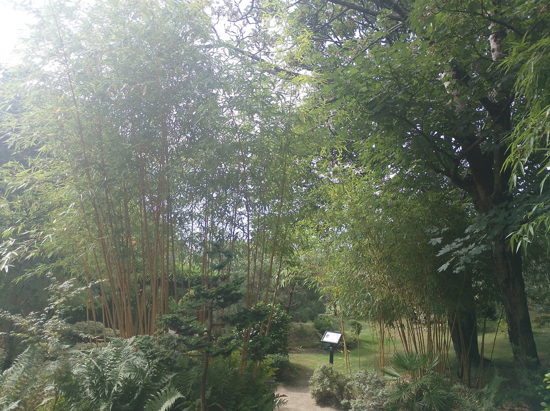 Lafcadio Hearn Japanese Gardens-特拉莫尔必去景点