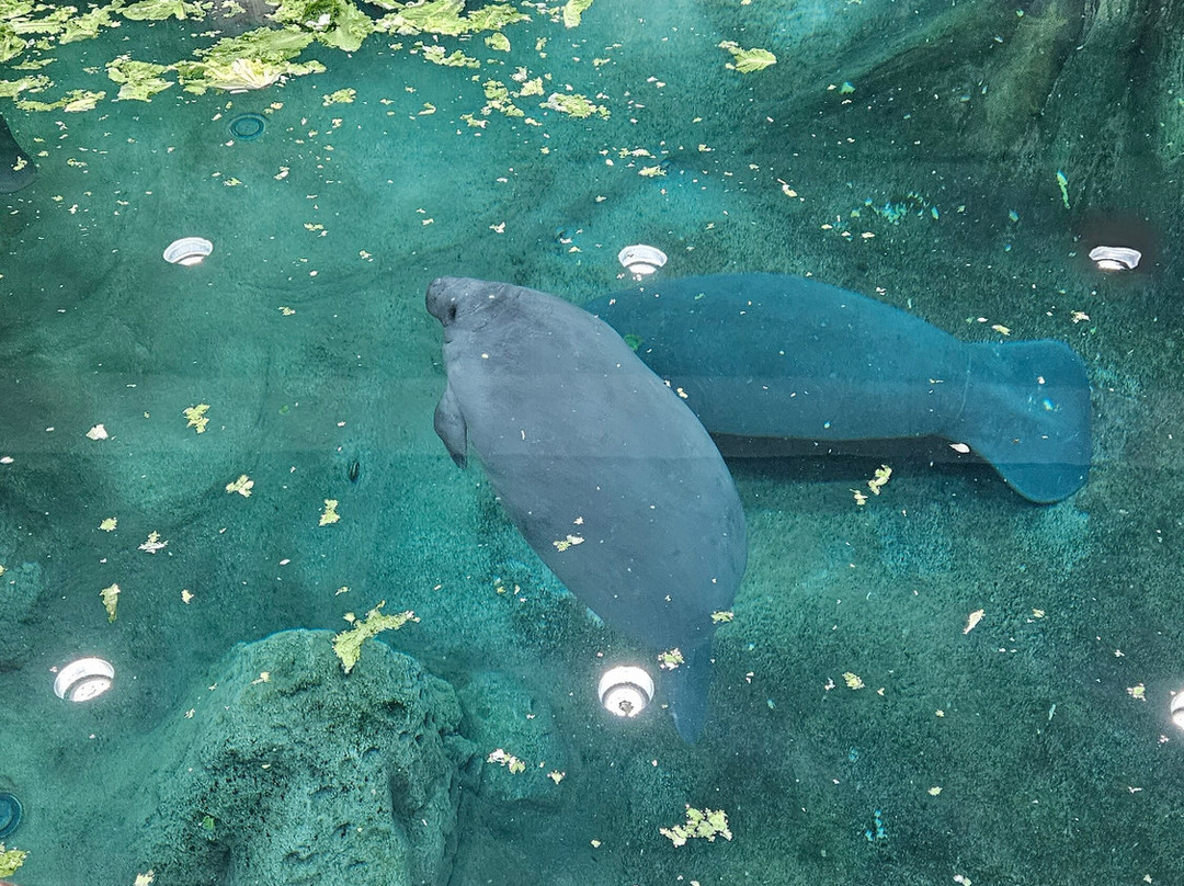 The Bishop Museum Of Science And Nature-布雷登顿必去景点