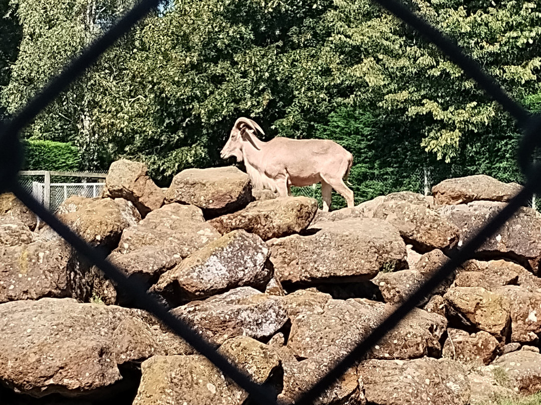 Africa Alive-Kessingland必去景点