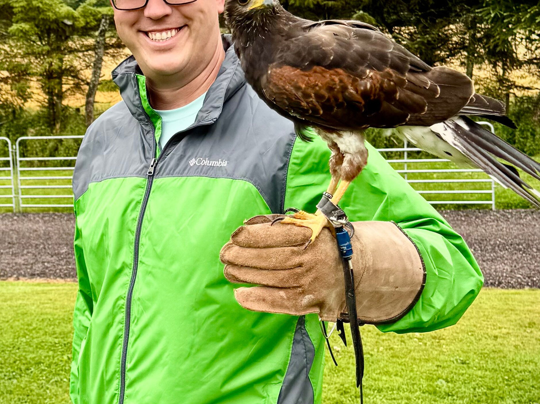 Speyside Falconry-Mulben必去景点