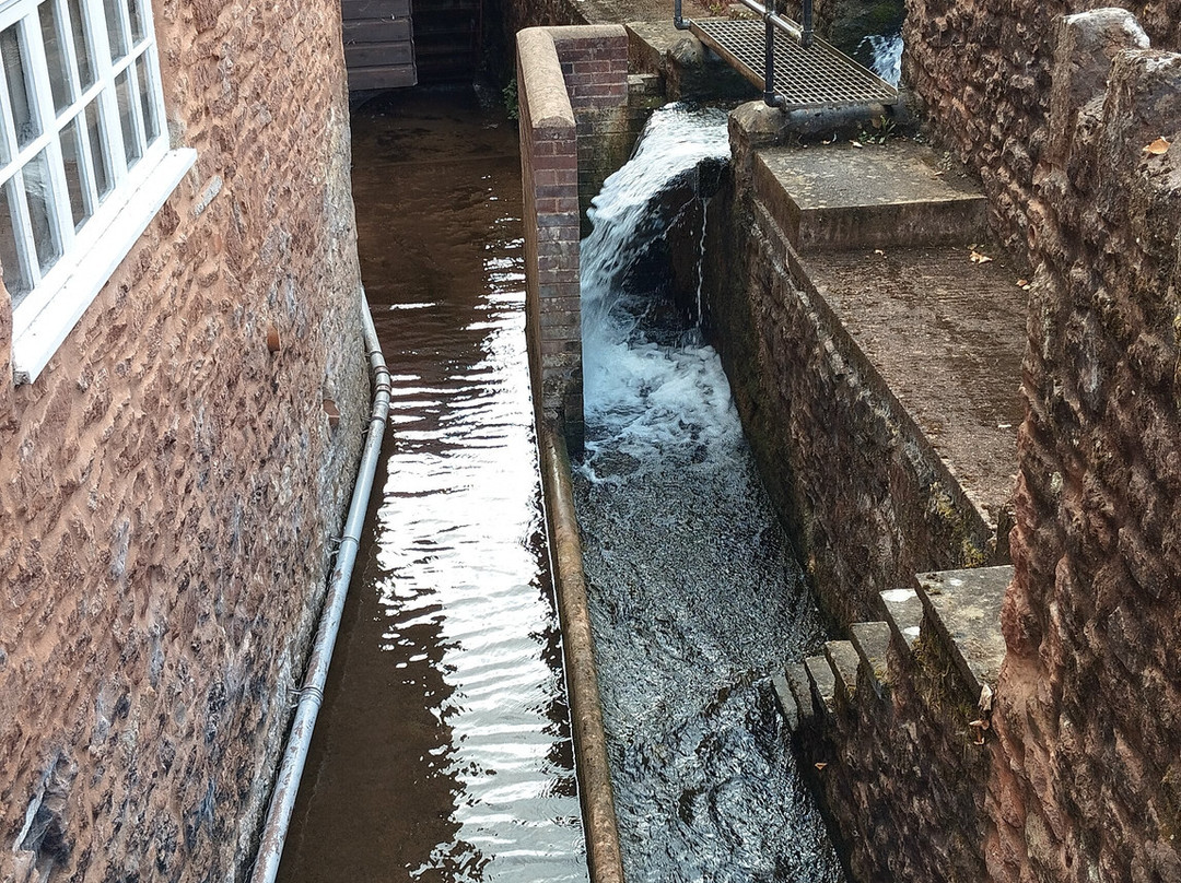 Bishops Lydeard mill-汤顿必去景点