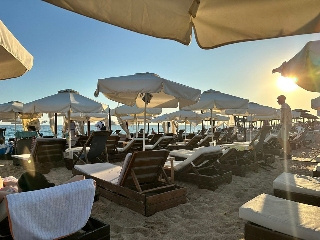 Tropical Beach Bar And Pizza