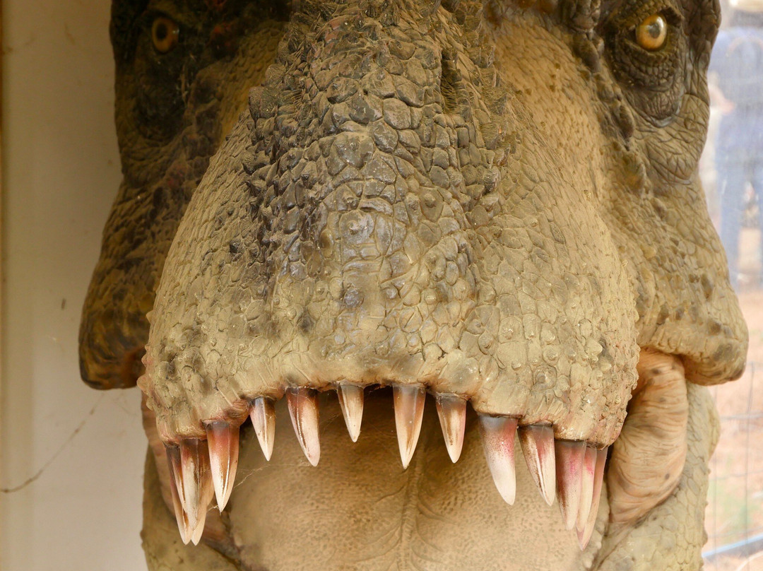 Musee - Parc des Dinosaures-Meze必去景点
