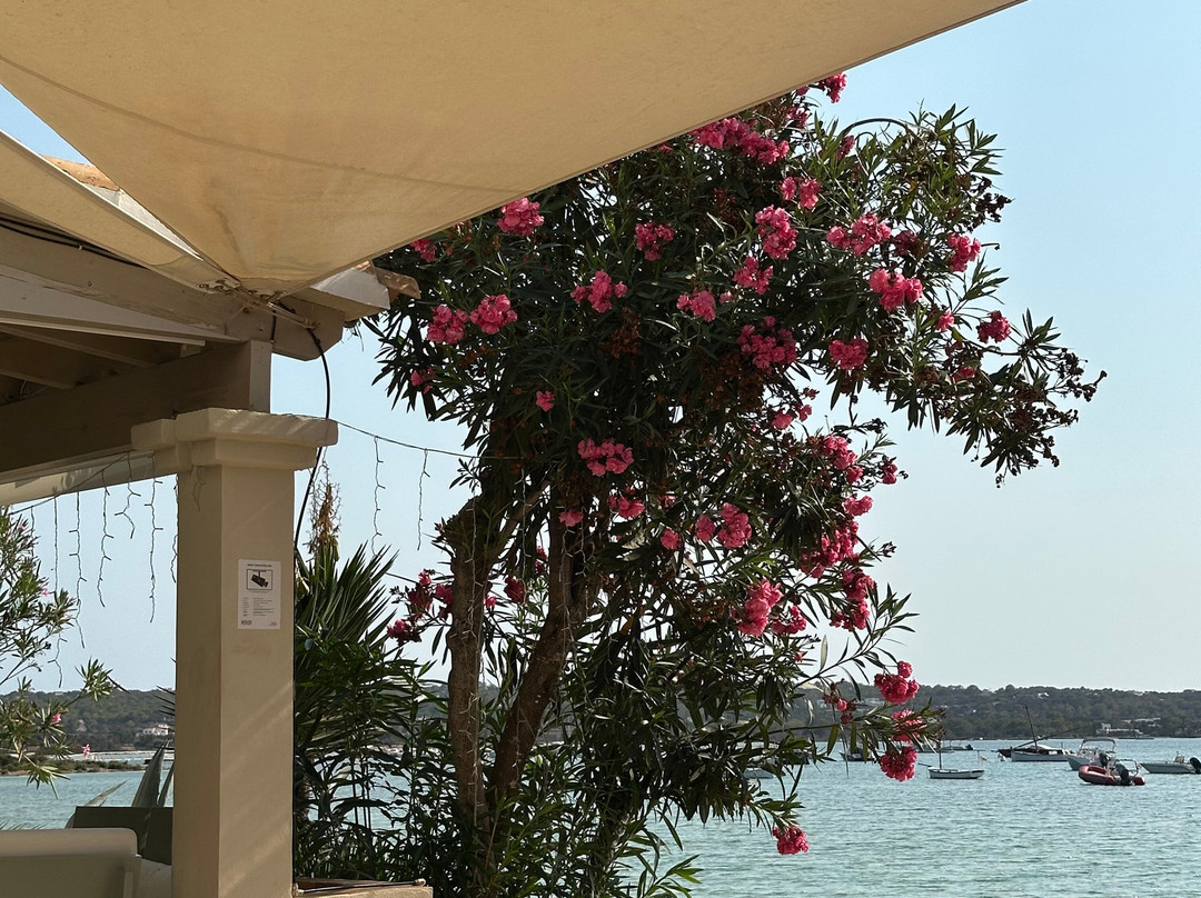 Hostal La Savina主图