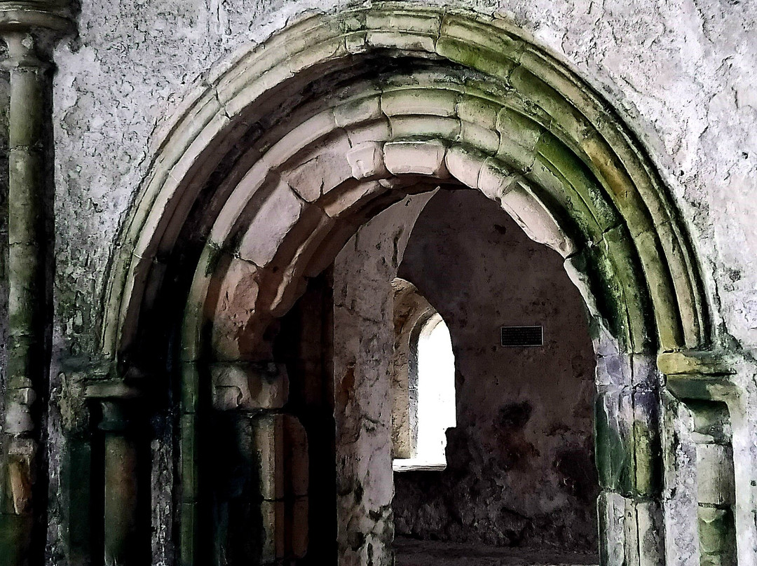 Inchcolm Abbey and Island-南昆斯费里必去景点