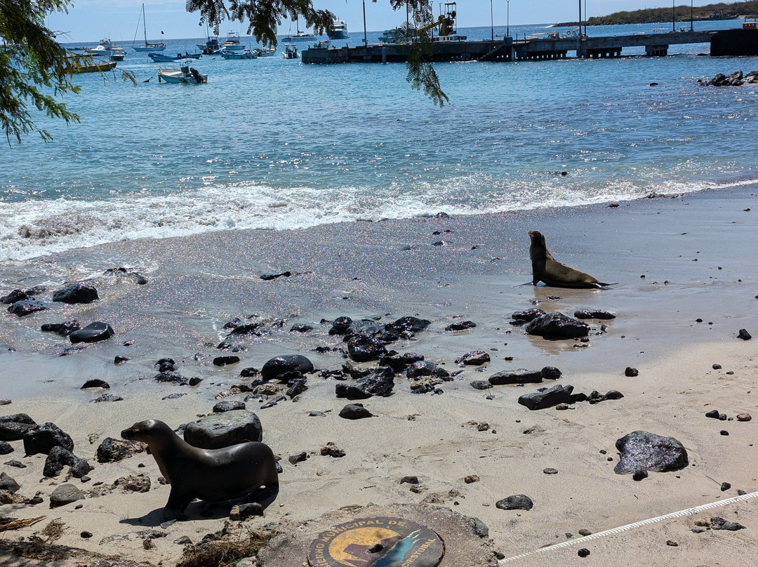 Playa de Oro-Puerto Baquerizo Moreno必去景点