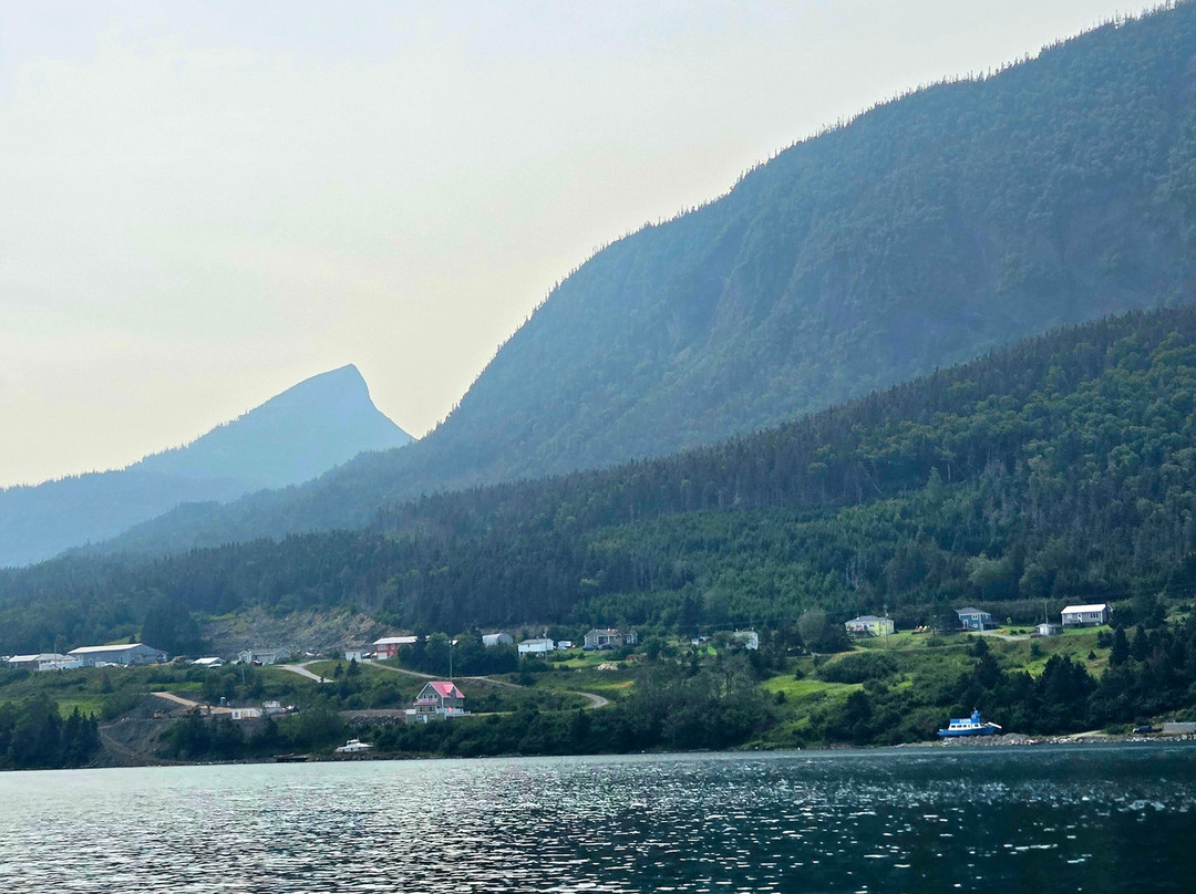 Wild Gros Morne-Trout River必去景点