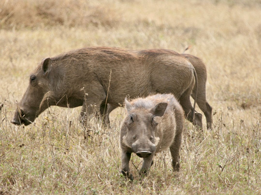 Mamnana Adventures-Olasiti必去景点