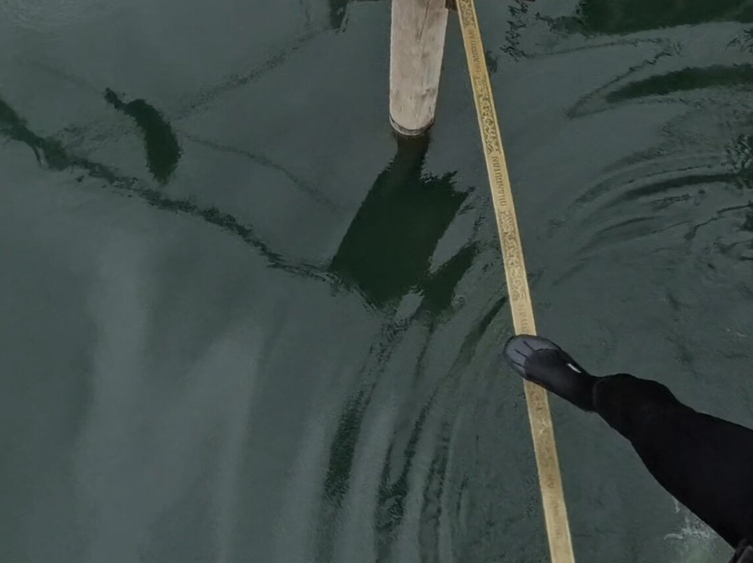 Foxlake Adventures-Dunbar必去景点