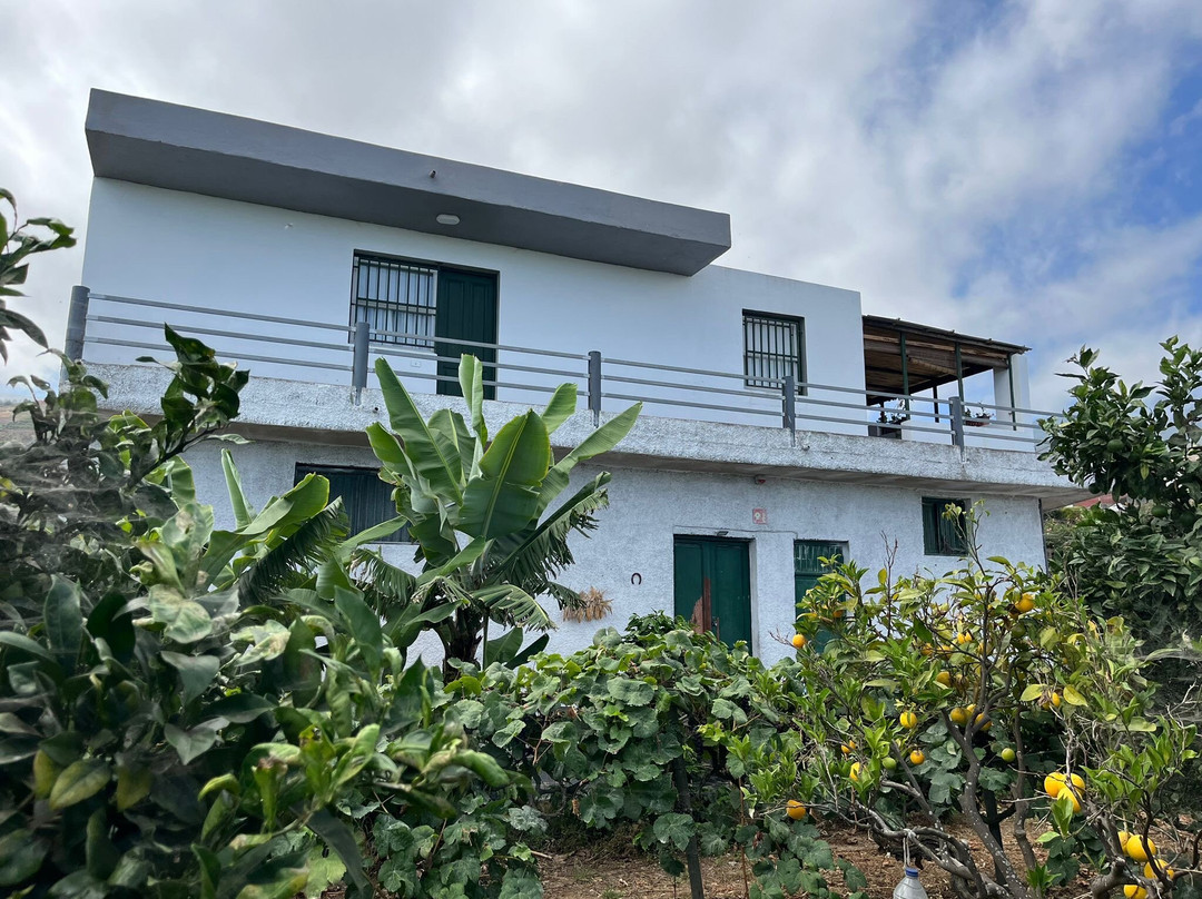 Bodega Finca Marañuela-La Orotava必去景点