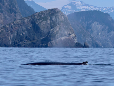 Seacor Tours-苏厄德必去景点