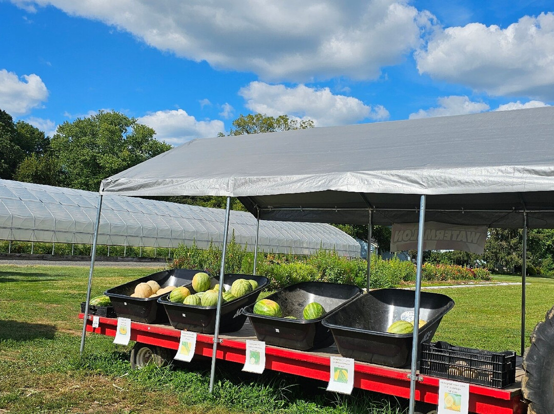 Burton Farms-Glen Arm必去景点