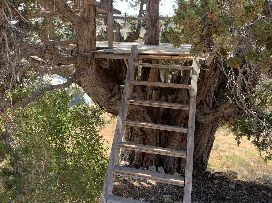 Discovery Beyond Borders-Zouk Mosbeh必去景点