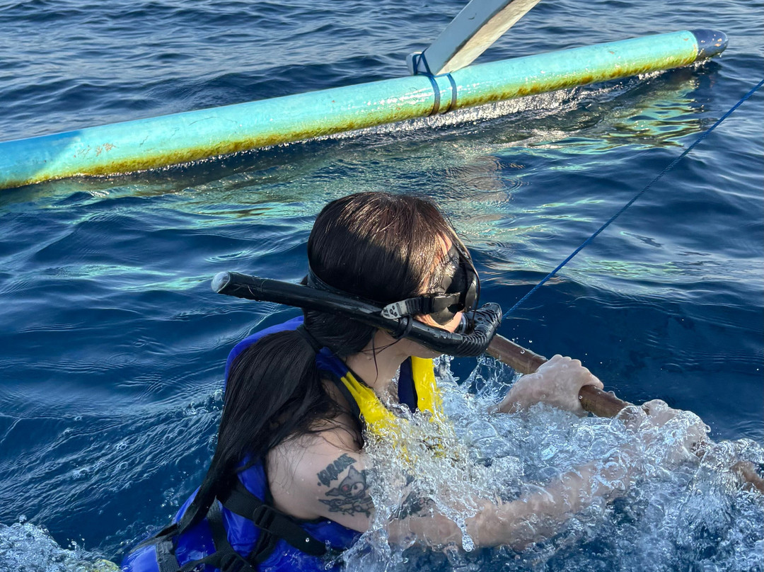 Lovina Bali Transport-新加拉惹必去景点