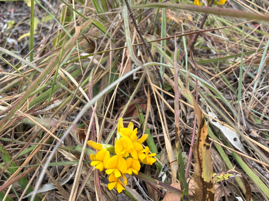 Cachoeira dos Garcias-Aiuruoca必去景点