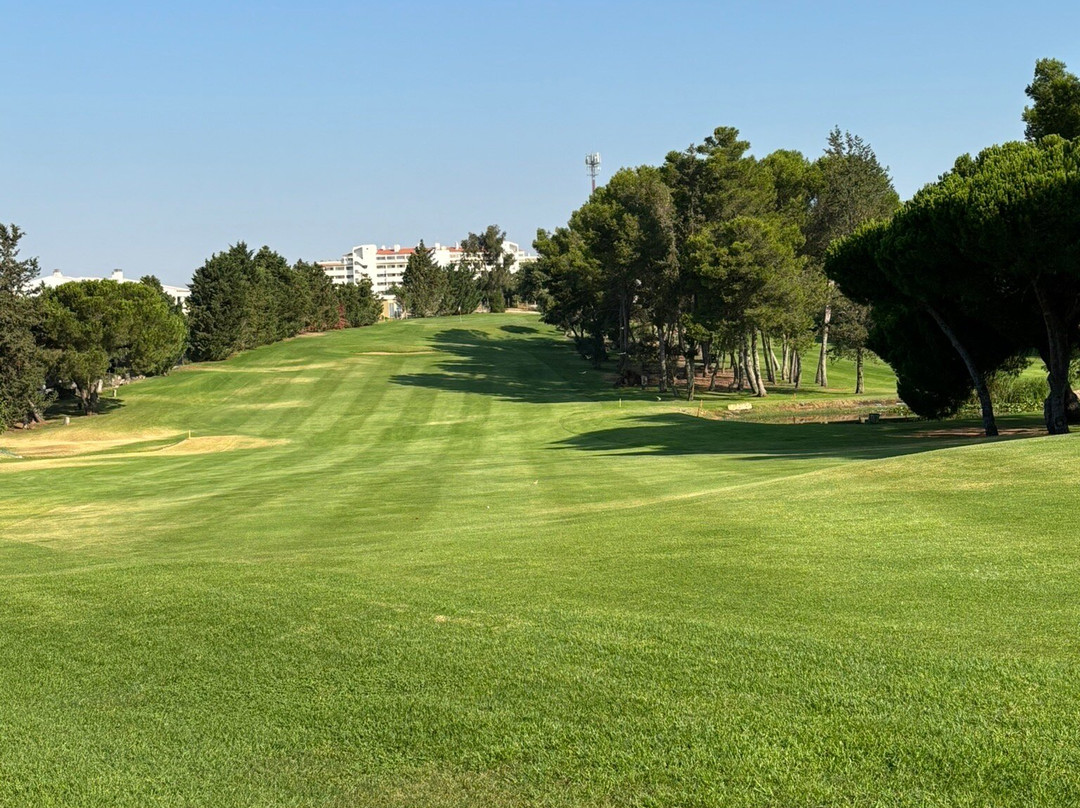 Pestana Alto Golf-阿沃必去景点