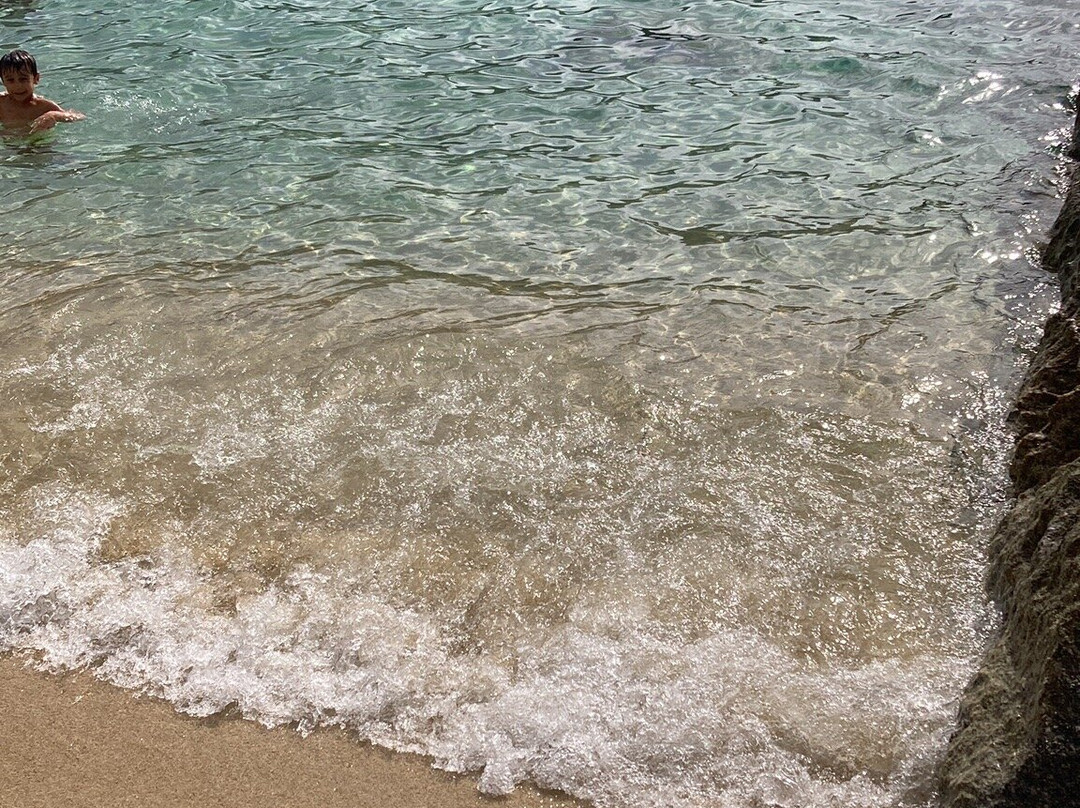 Spiaggia di Cavoli-Seccheto必去景点